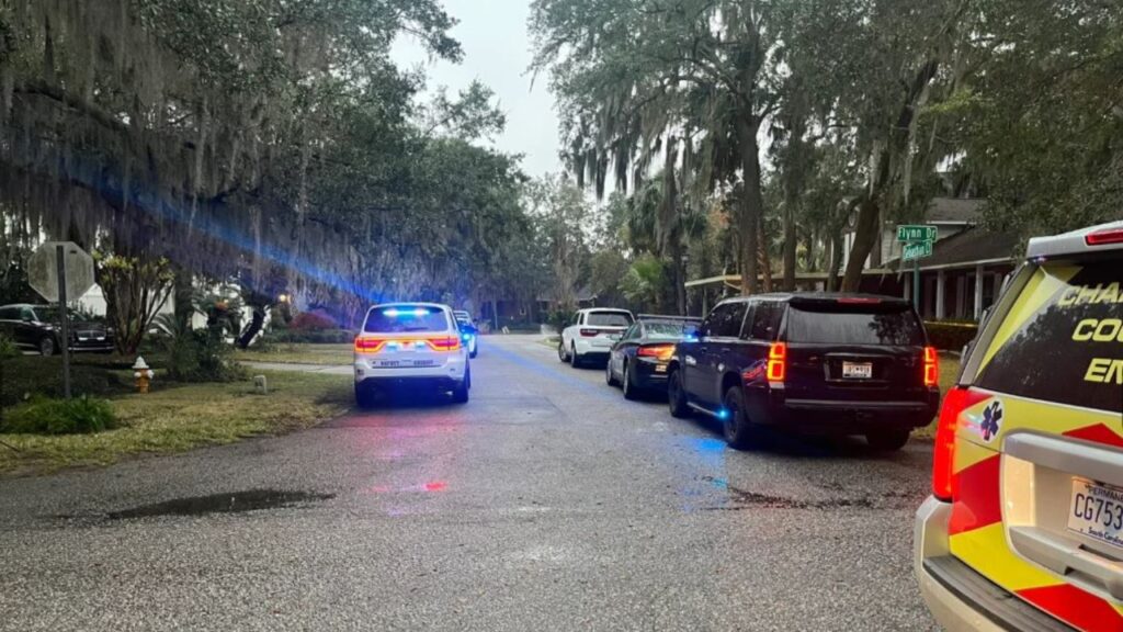 My project 1 2022 11 25t134226.986.jpg