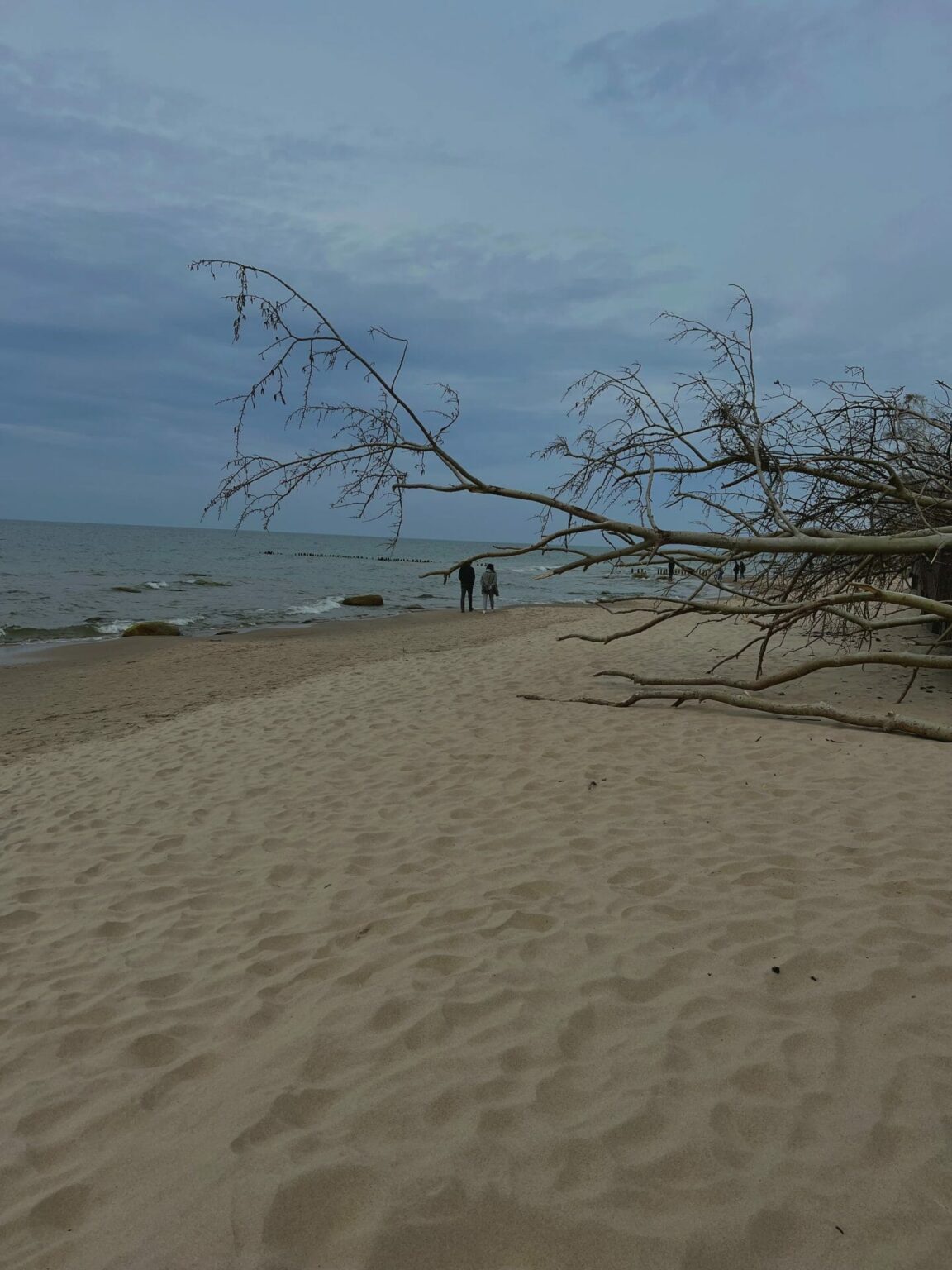 Tsagana bumcrumoz98 unsplash.jpg