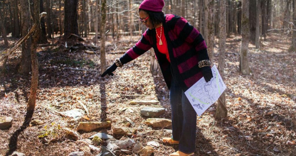 63afc4c5b0da2.image .jpg