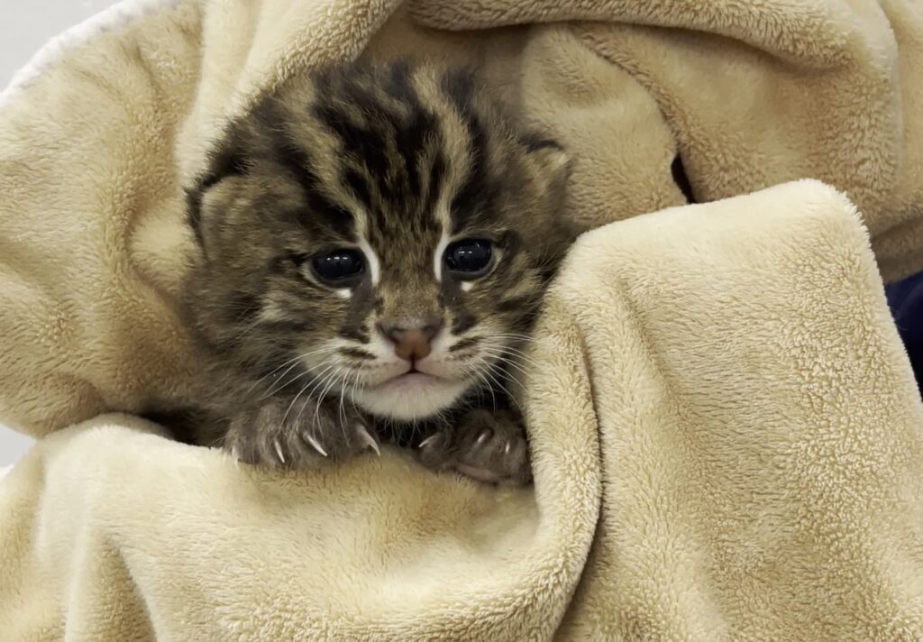 F43c2327589d7c669ea71dbce9ce92e8 4.jpg