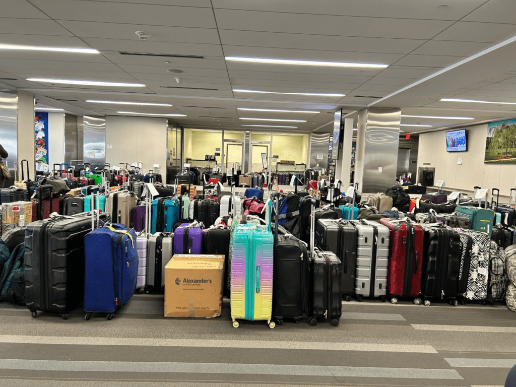 Lost luggage hayley.png