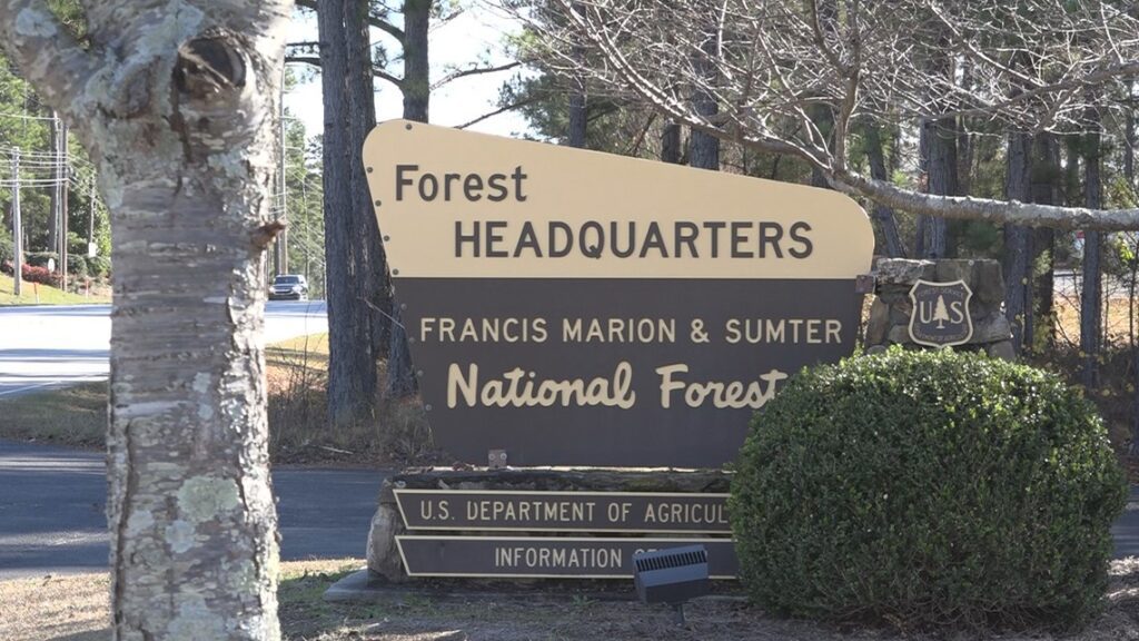 A537a486 2f2d 4b51 9d3c 1412055ea6a1 1140x641.jpg