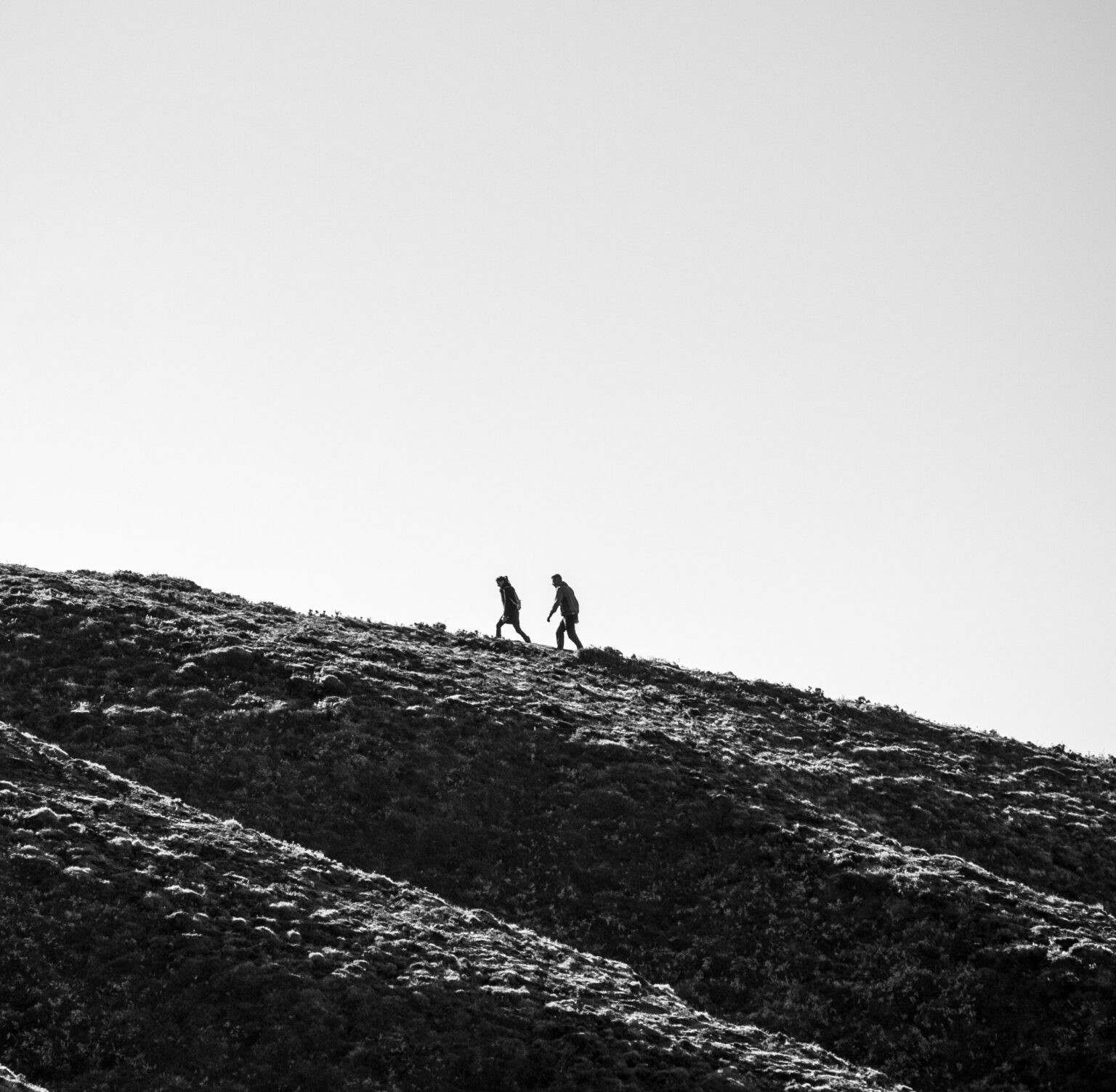 Ronan furuta kxukumrtymi unsplash 3.jpg