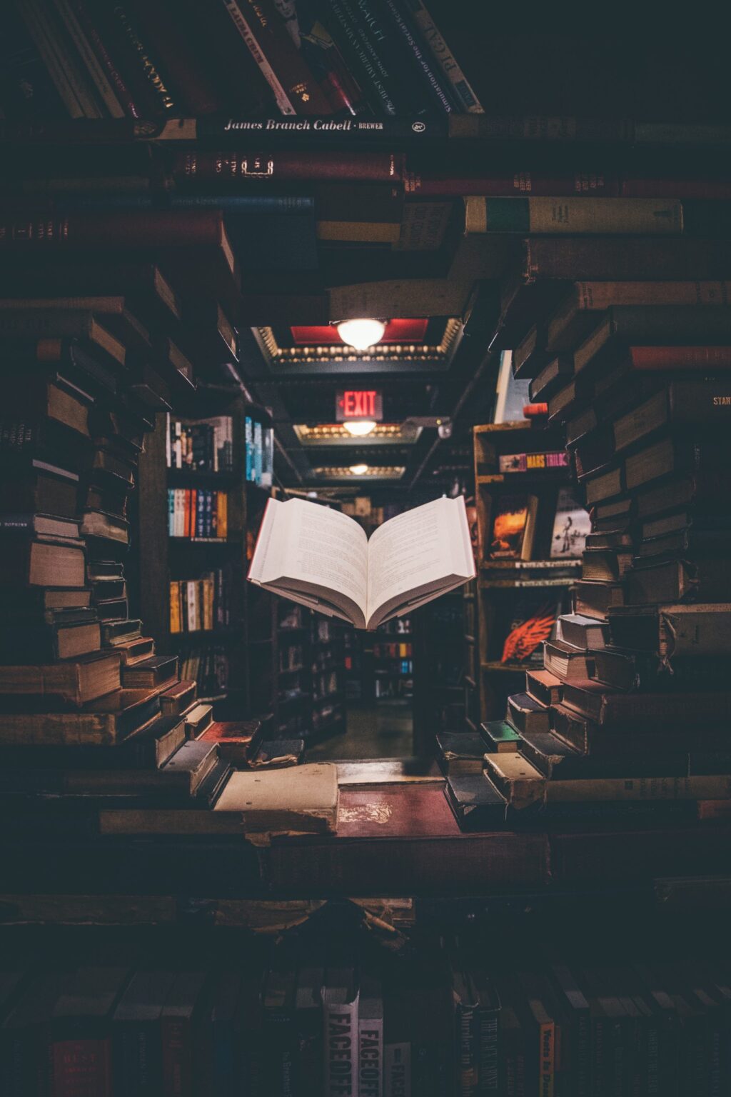 Jaredd craig hh4wbgnyltc unsplash scaled.jpg